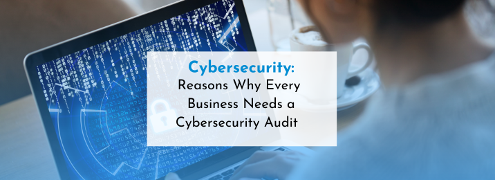 Reasons Why Every Business Needs a Cybersecurity Audit